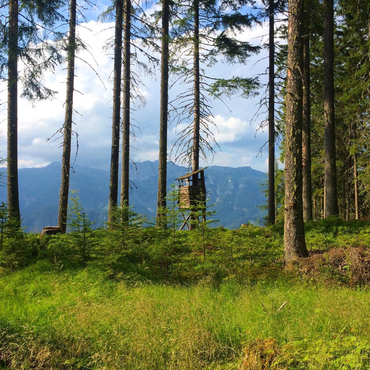 Berggasthof Scharfetter Hotel Haus im Ennstal Kültér fotó